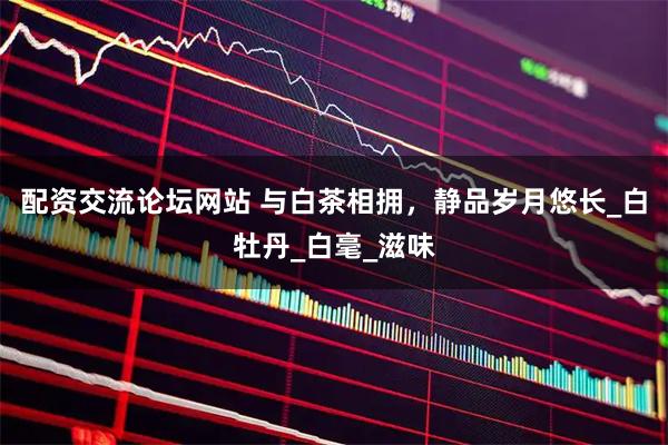 配资交流论坛网站 与白茶相拥，静品岁月悠长_白牡丹_白毫_滋味