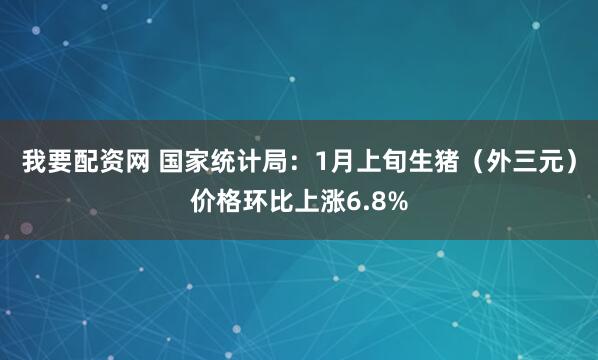 我要配资网 国家统计局：1月上旬生猪（外三元）价格环比上涨6.8%